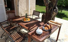 Suquette Charming Provencal House In Antibes With Nice Terrace, Garden And Pool Access